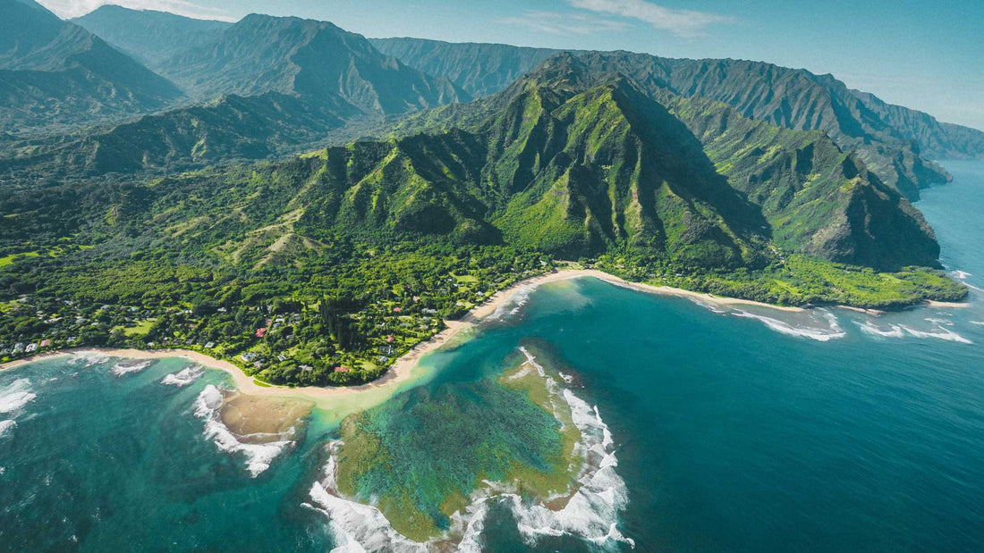 Top or Best Talent Management Agencies and Companies in Hawaii