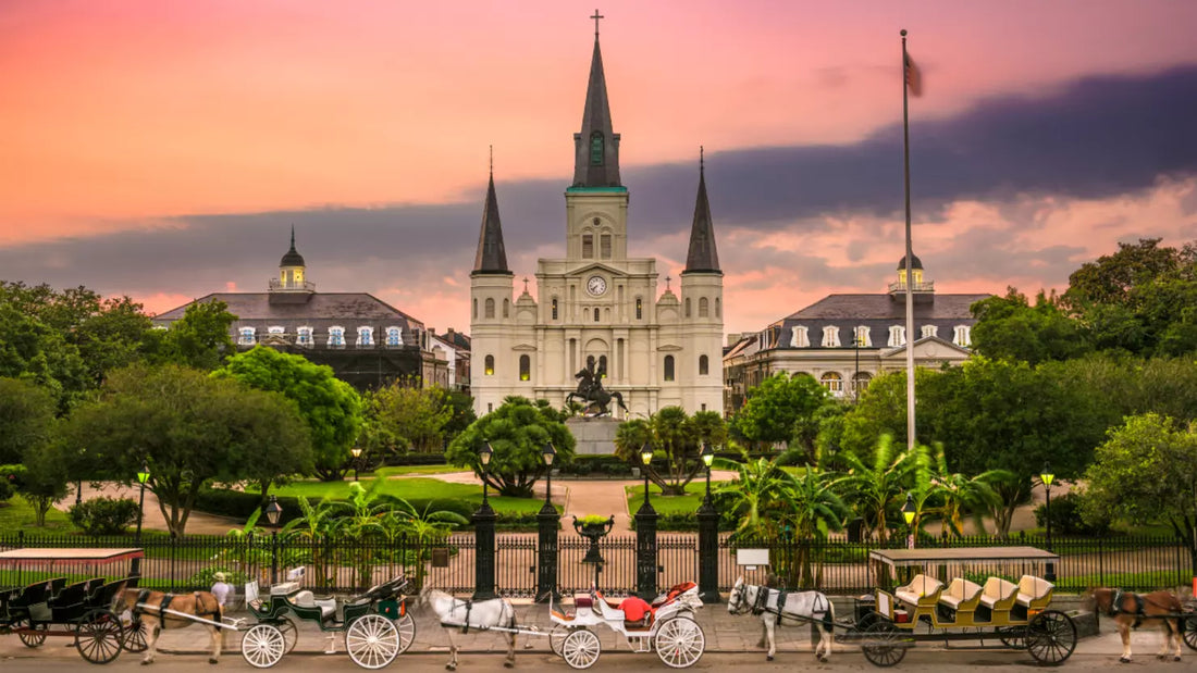 Best Instagram Management Companies in Louisiana