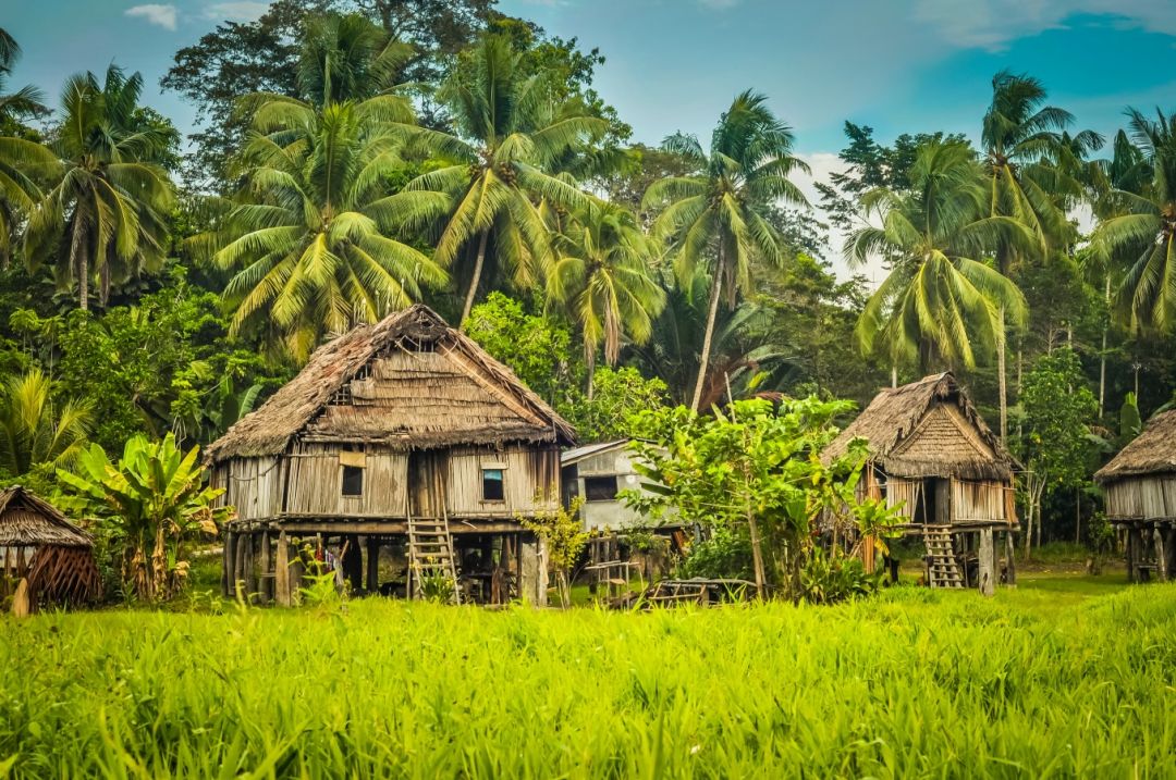 Top 5 Animation and Motion Graphics Design Agencies in Papua New Guinea