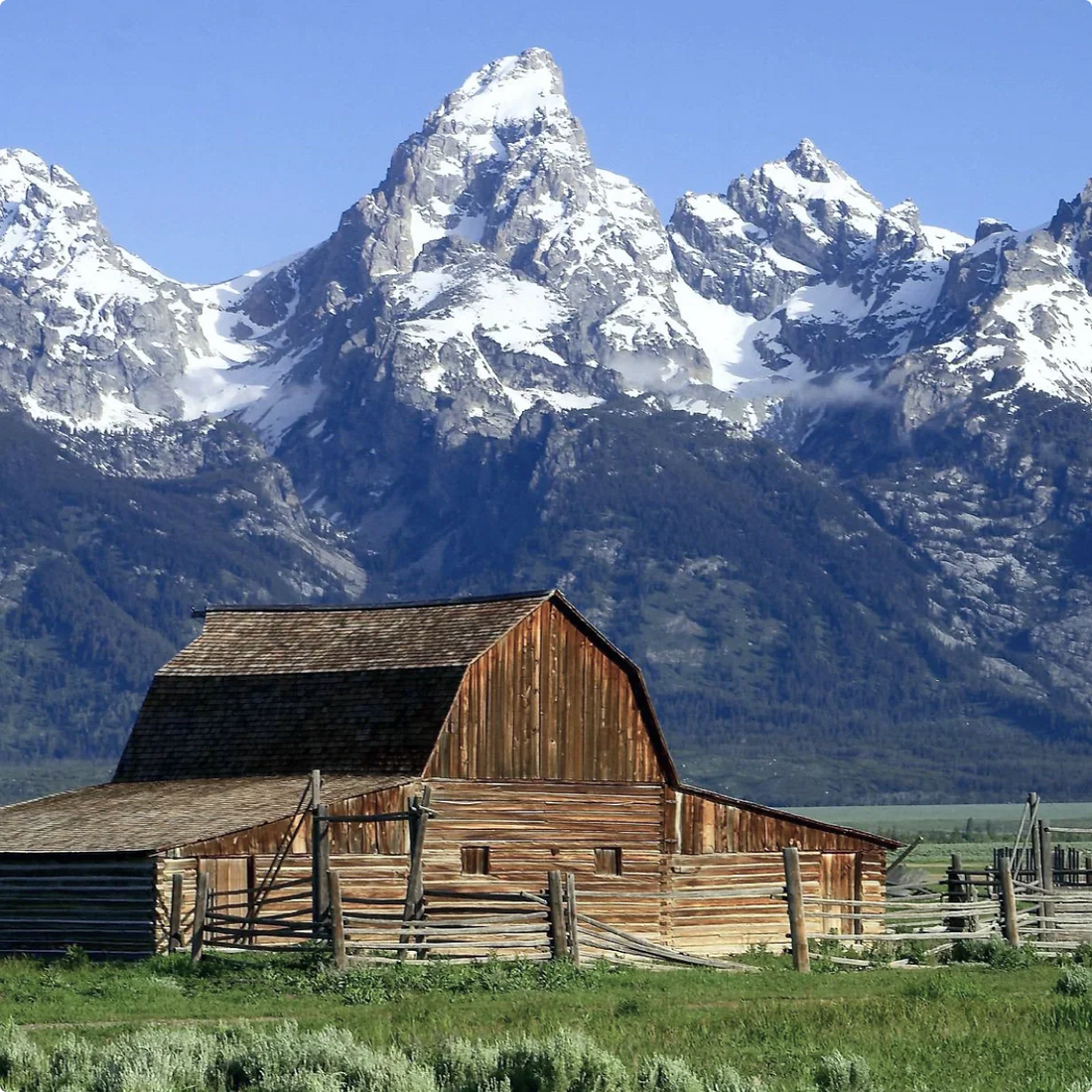 Top or Best Logo Design Agencies and Companies in Jackson, Wyoming