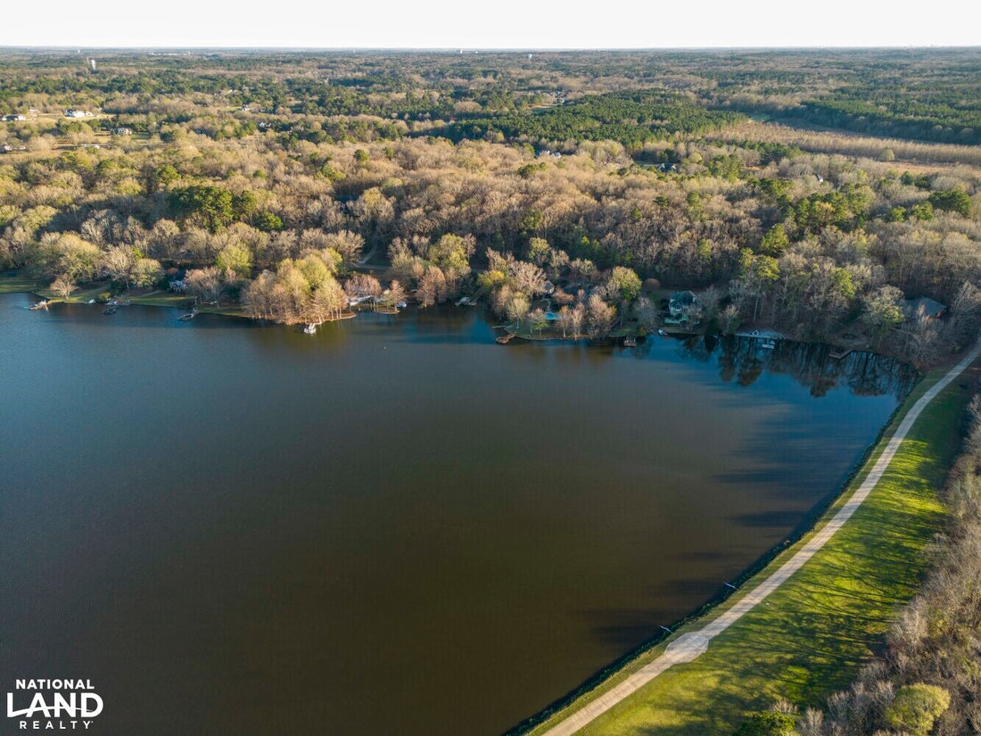 Best or Top TikTok Management Agencies and Companies in Madison, Mississippi