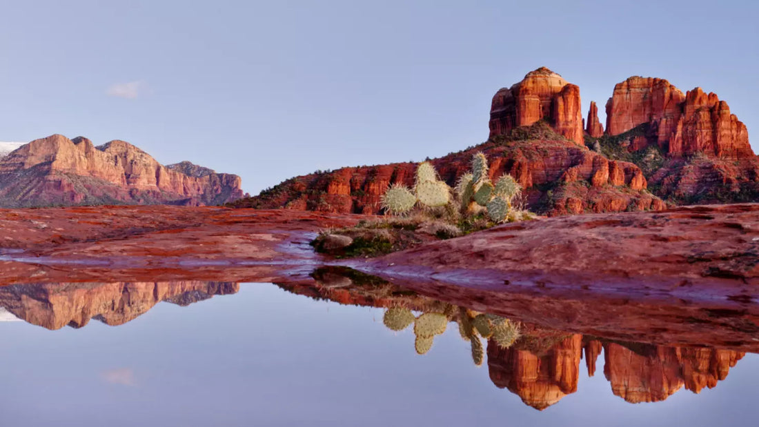Top or Best Flyer Design Agencies and Companies in Phoenix, Arizona