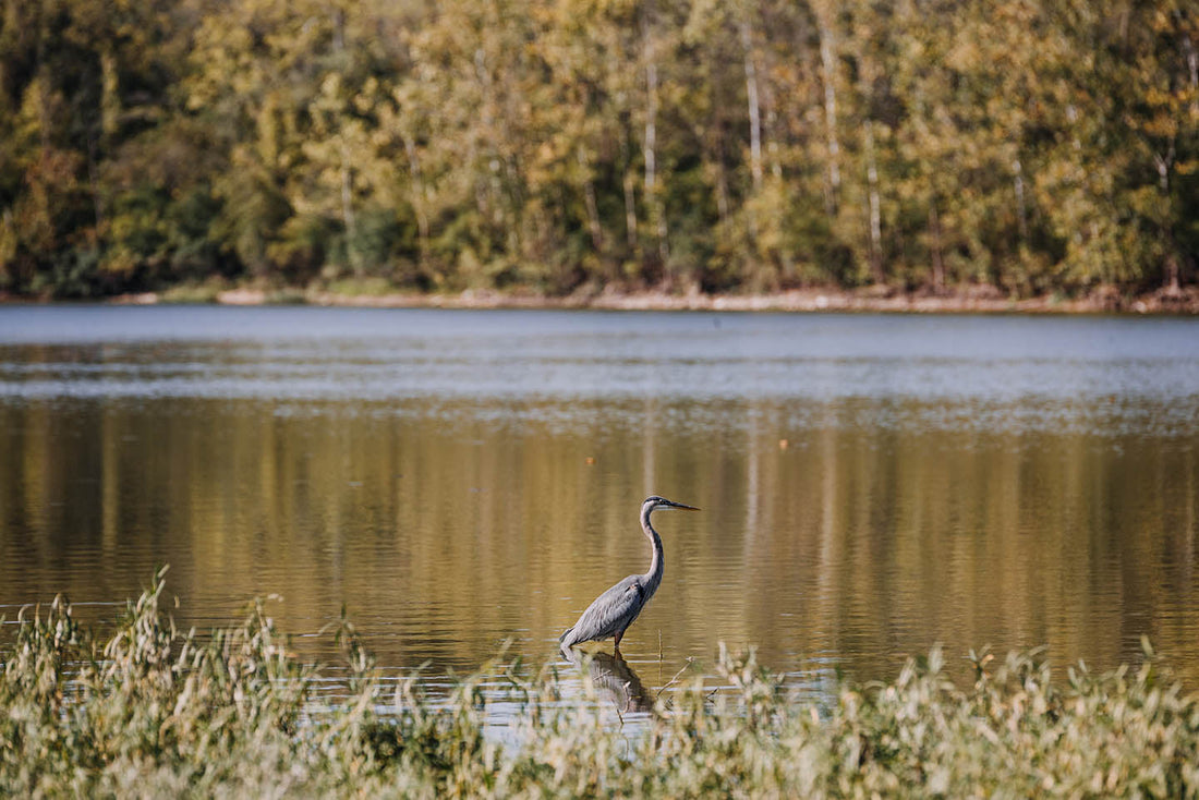 Top or Best Presentation Design Agencies and Companies in Elkhart, Indiana