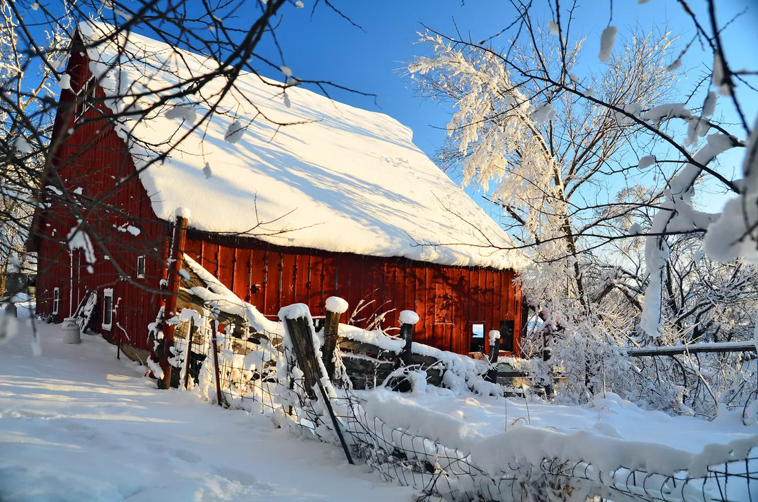 Top or Best Custom Graphics for Videos Agencies and Companies in York, Nebraska