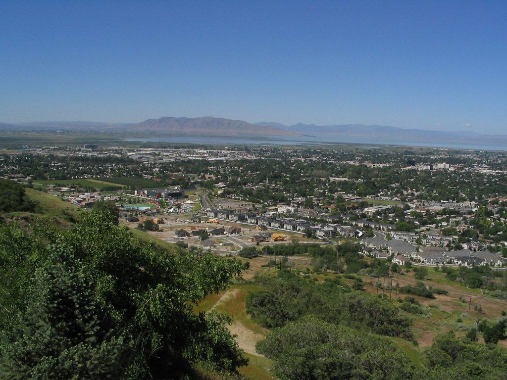 Top and Best TikTok Management Agencies and Companies in Provo, Utah