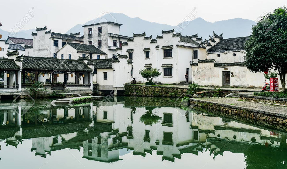 Best Influencer Marketing Campaign Agency in Fuyang, China