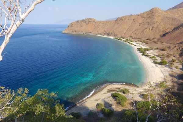 Top or Best Athlete Brand Partnership Agencies and Companies in Timor-Leste