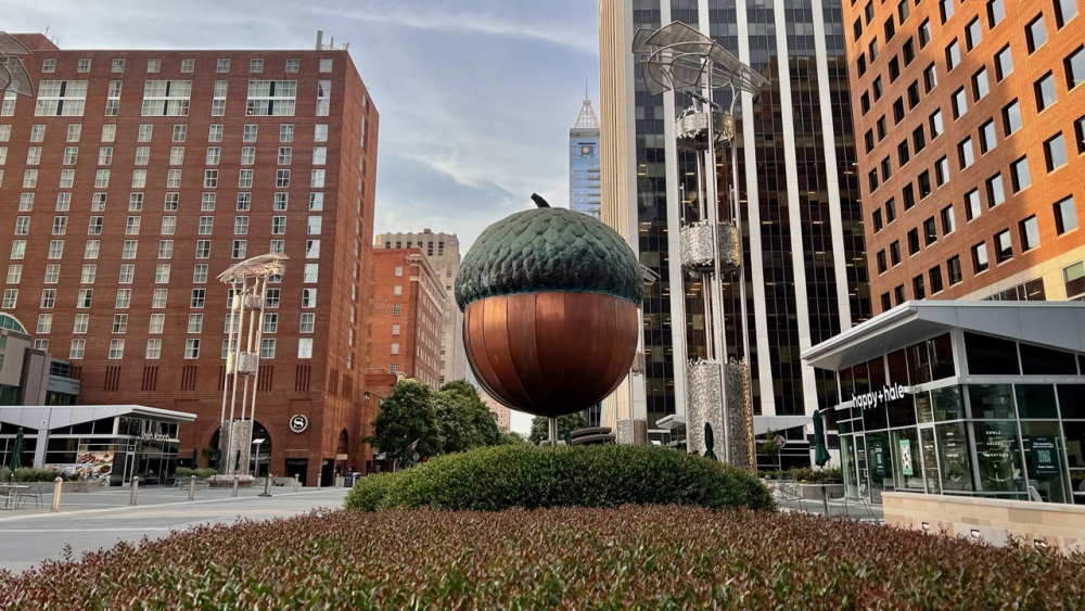 Top or Best Influencer Brand Partnership Agencies and Companies in Raleigh, NC