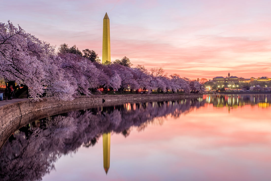 Top or Best Athlete Brand Partnership Agencies and Companies in Washington, D.C.