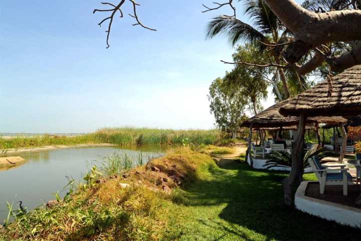 Top 5 Email Campaign Design Agencies in The Gambia