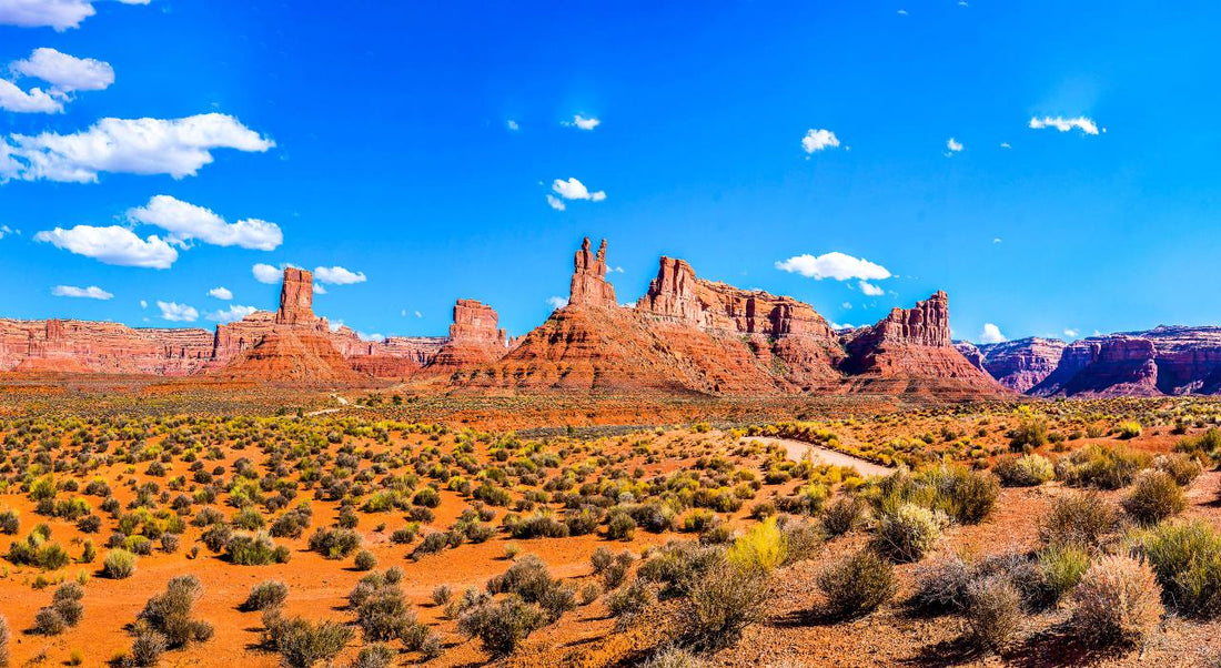 Best or Top Menu Design Agencies and Companies in Las Vegas, Nevada