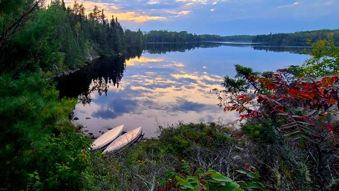 Top or Best Influencer Brand Partnership Agencies and Companies in Minnesota