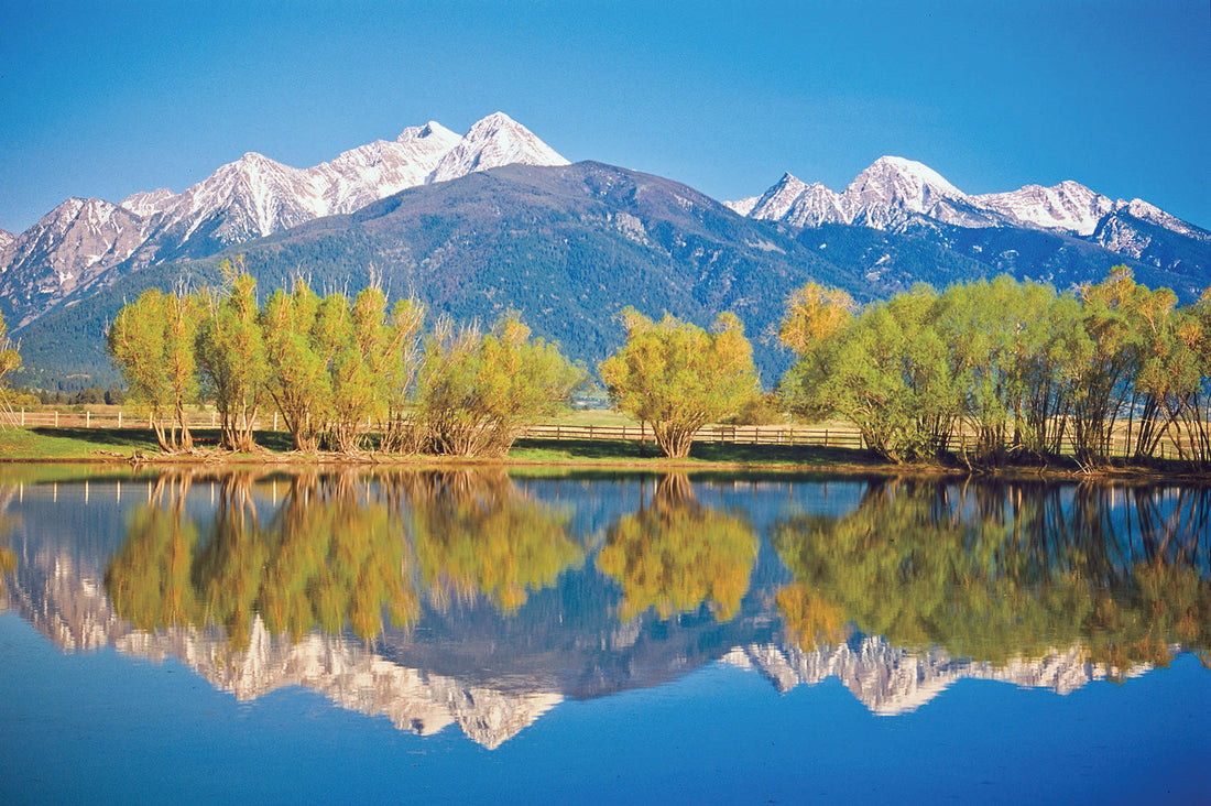 Top or Best Influencer Brand Partnership Agencies and Companies in Montana