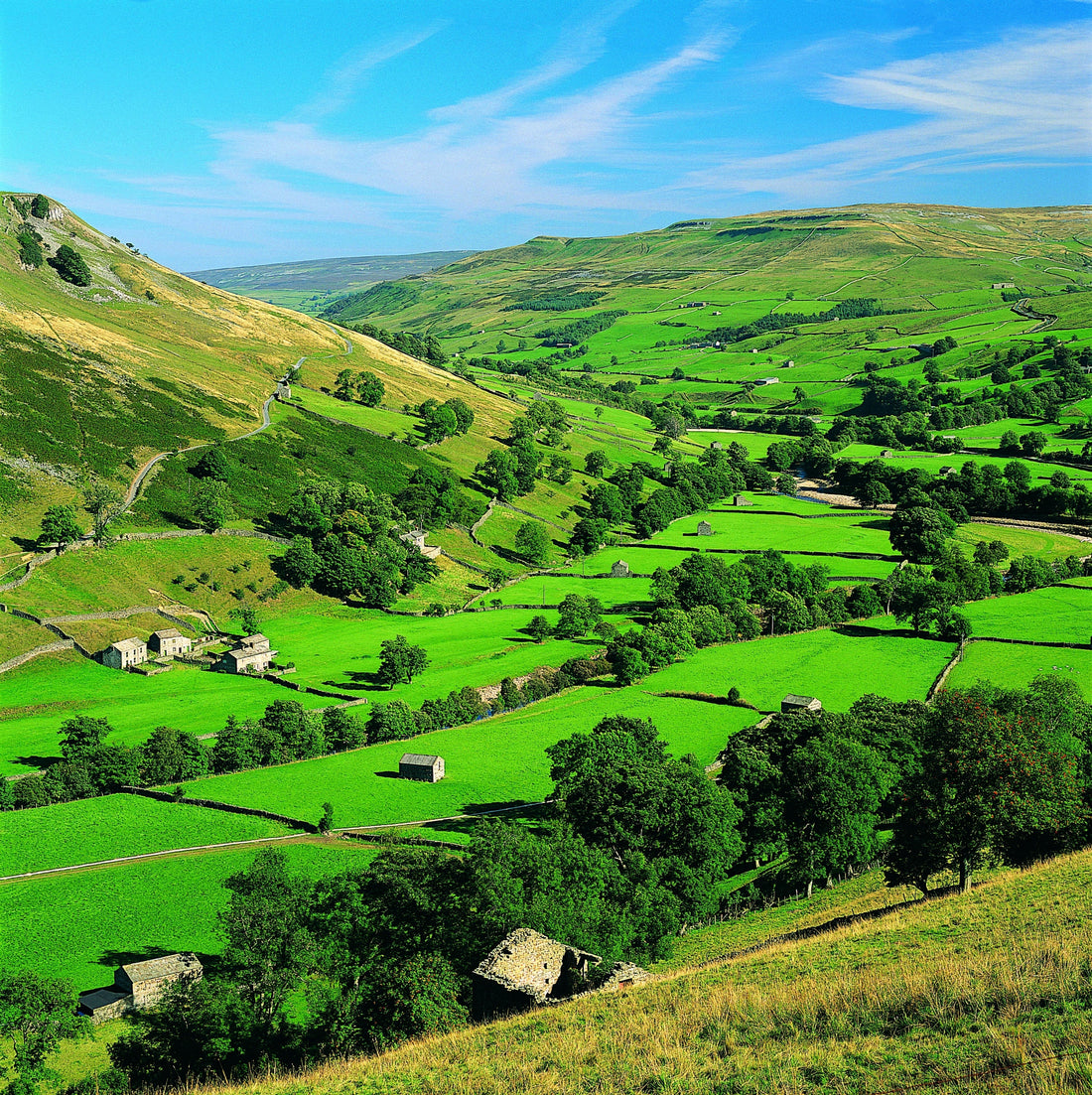 Best or Top Business Card Design Agencies and Companies in Henderson, Nevada