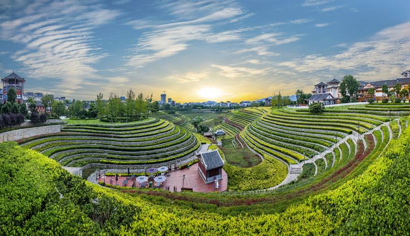 Top or Best Influencer Brand Partnership Agencies and Companies in Bijie, China