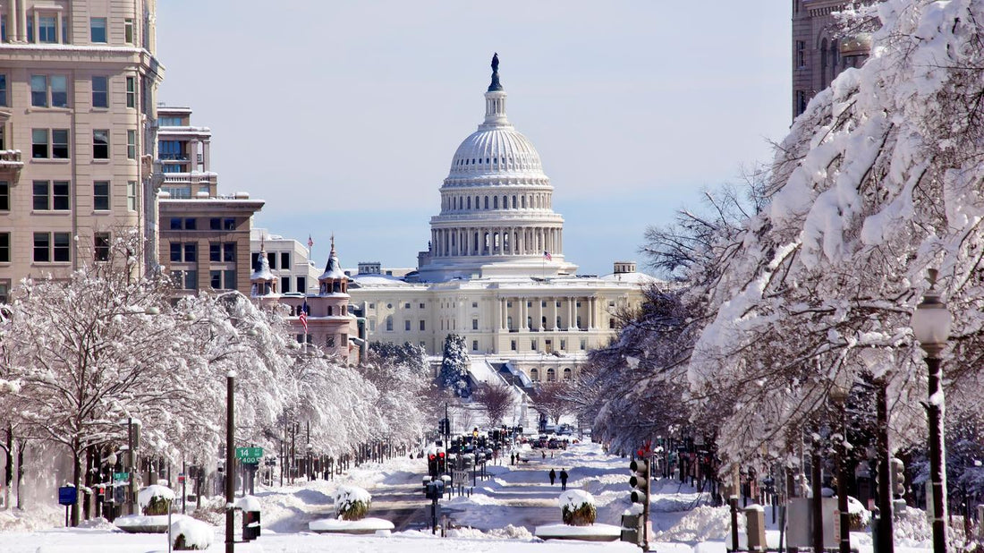 Top Copywriting Agencies in Washington