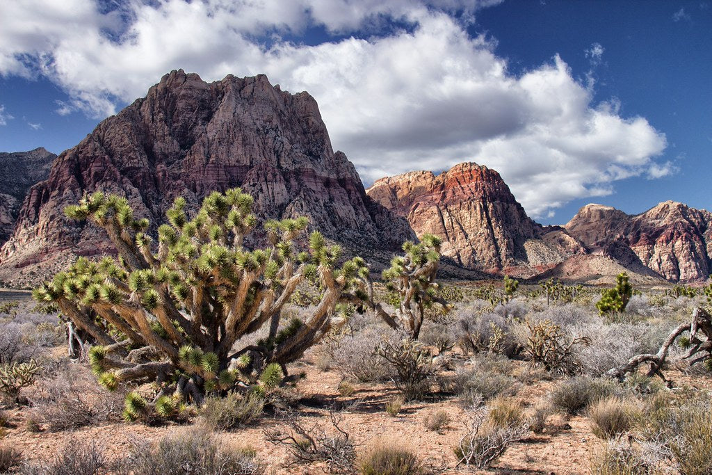 Best or Top Photo Editing Agencies and Companies in Las Vegas, Nevada