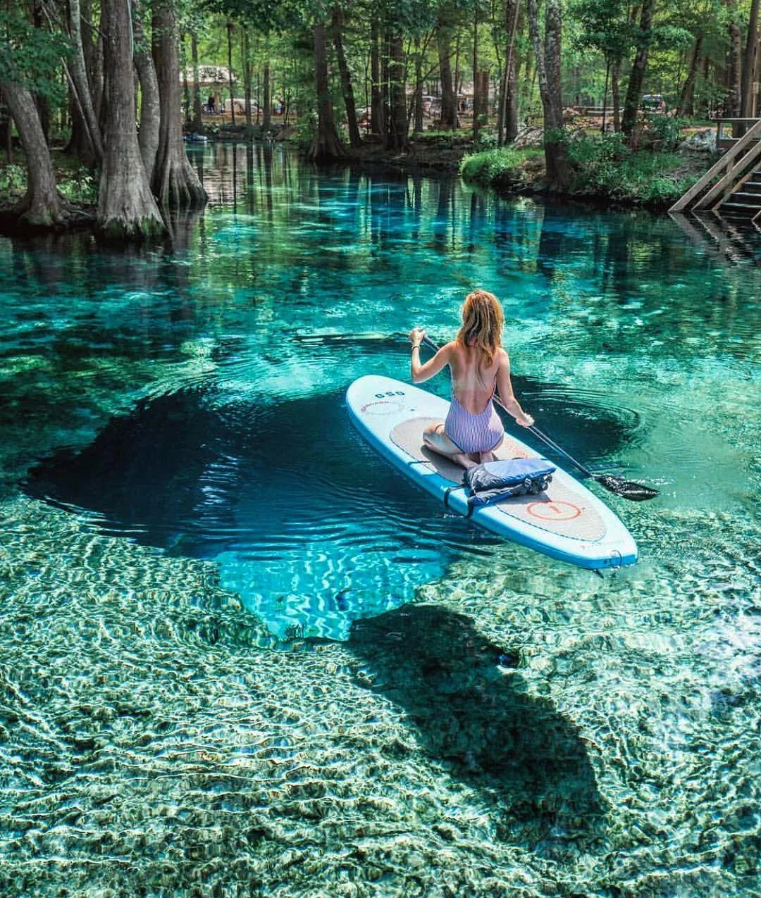 Top or Best Drawing and Illustration Agencies and Companies in Pembroke Pines, Florida