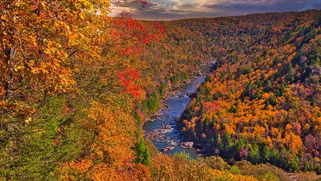 Top or Best Storyboard Agencies and Companies in Wheeling, West Virginia