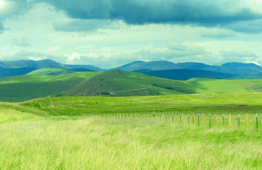 Top or Best Twitch Management Agencies and Companies in Lewistown, Montana
