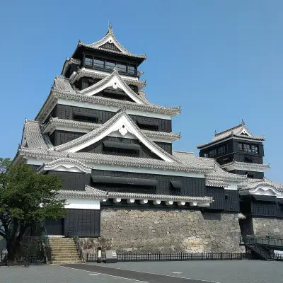 Top or Best Packaging Design Agencies and Companies in Kitakyushu, Japan