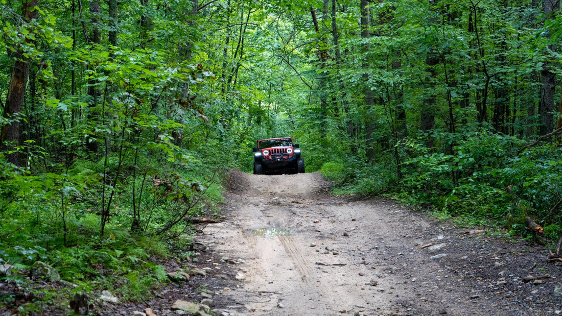 Top or Best Logo Animation Agencies and Companies in Oak Hill, West Virginia