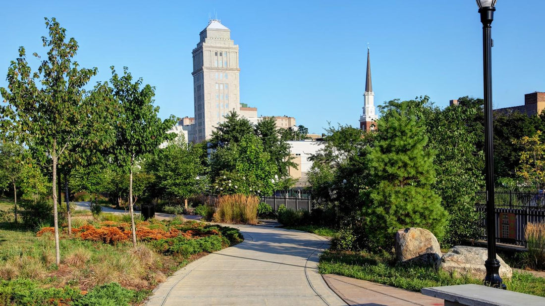 Top or Best Website Design Agencies and Companies in Elizabeth