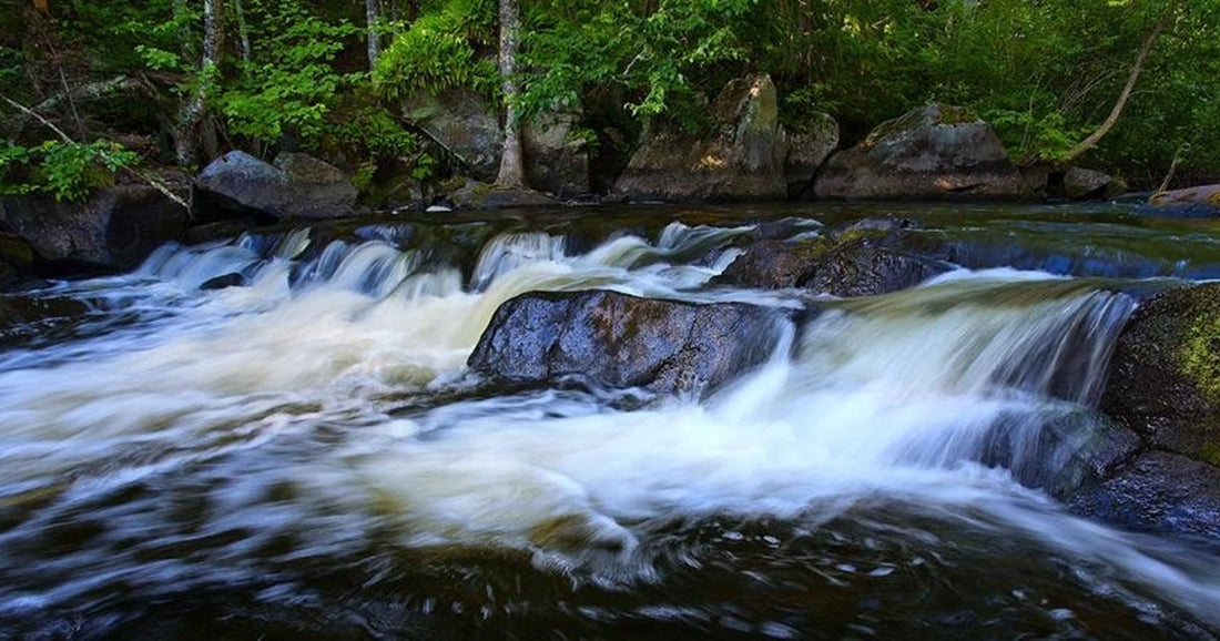 Top or Best App UI/UX Design Agencies and Companies in Wausau, Wisconsin