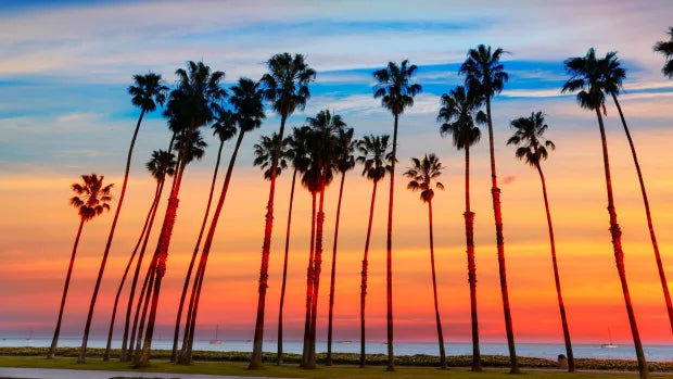 Top or Best Custom Graphics for Videos Agencies and Companies in Oakland, California