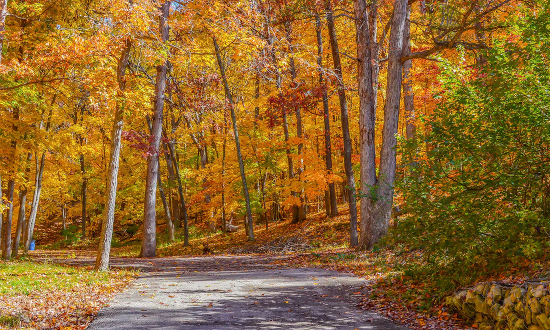 Top or Best Mural Design Agencies and Companies in Broken Arrow, Oklahoma