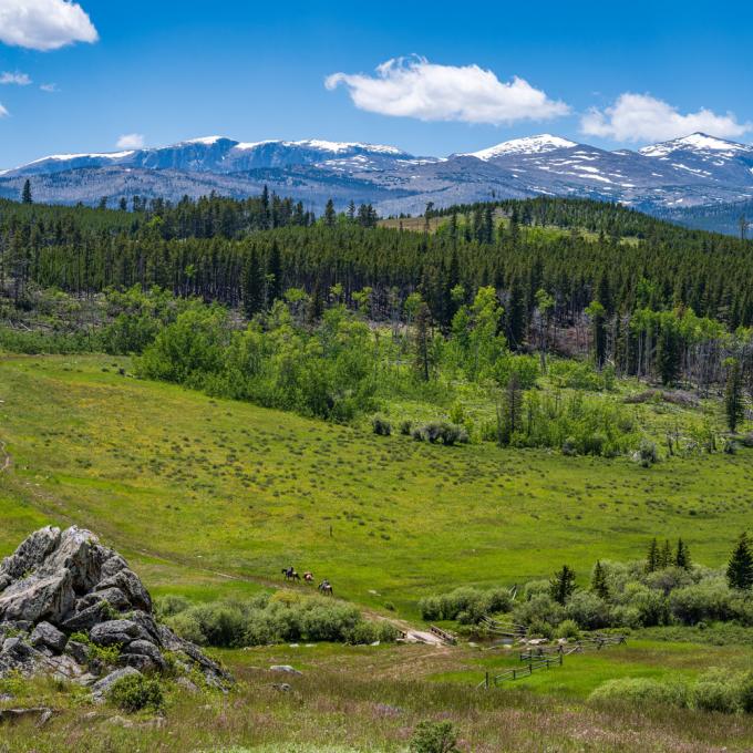 Top or Best Brand Identity Packages Agencies and Companies in Buffalo, Wyoming