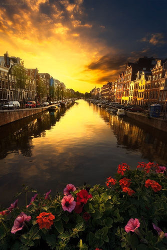 Top 5 Poster Design Agencies in the Netherlands