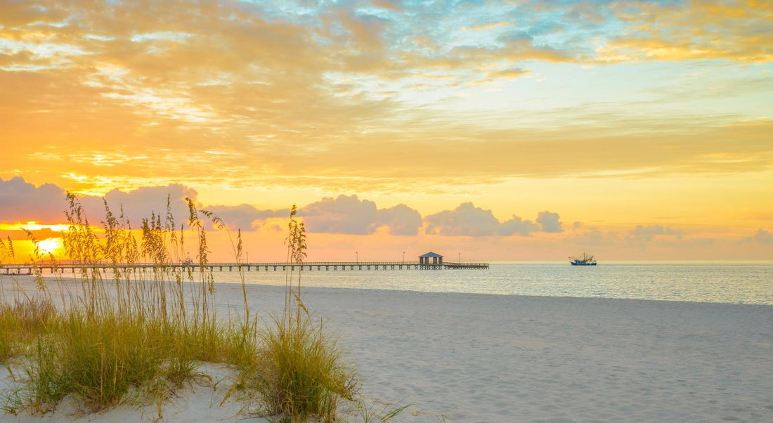 Top or Best YouTube Management Agencies and Companies in Biloxi, Mississippi