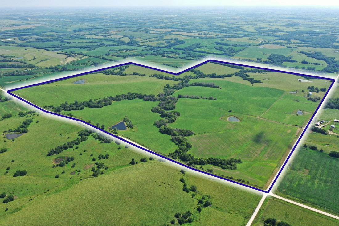 Top or Best Menu Design Agencies and Companies in Johnston, Iowa