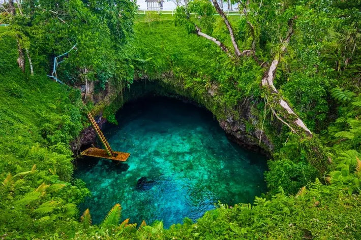 Best Instagram Management Companies in Samoa