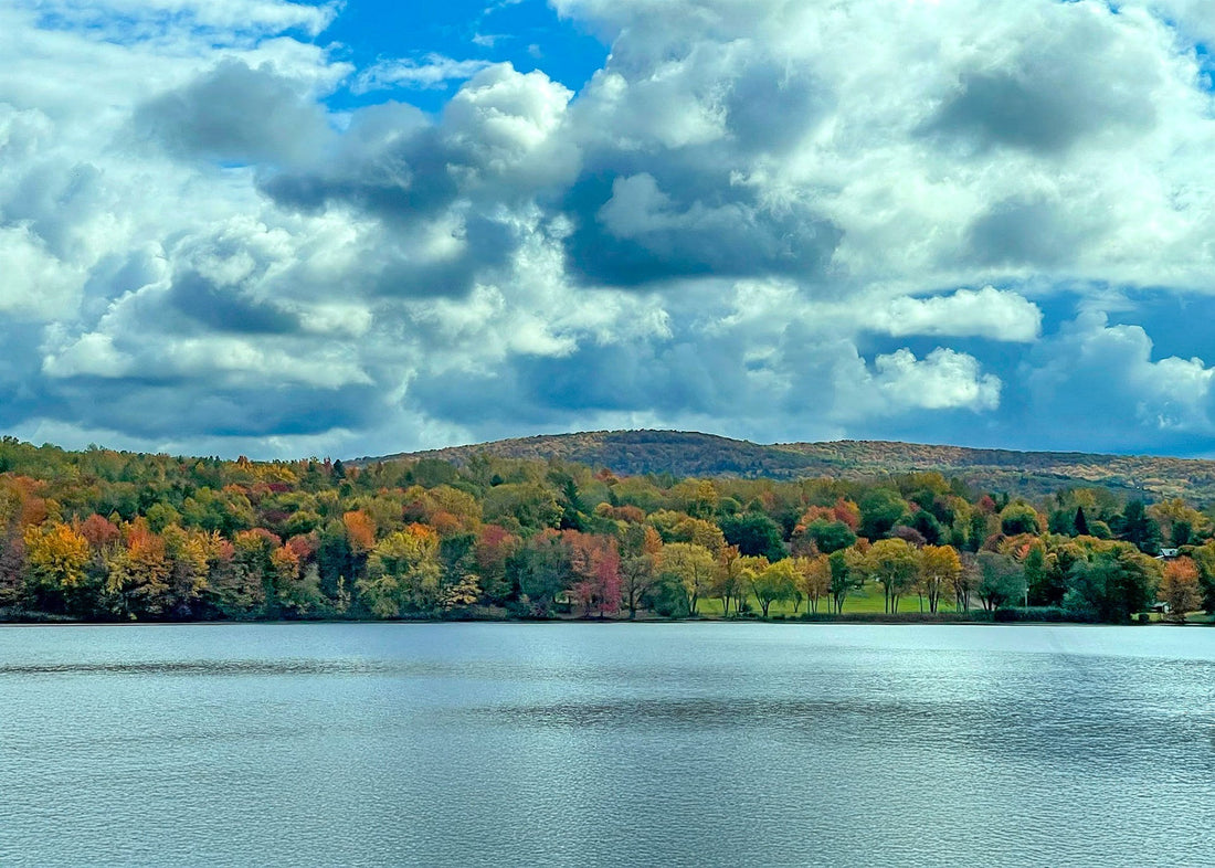 Top or Best Menu Design Agencies and Companies in Milton, Vermont