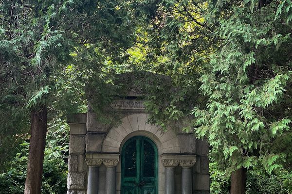 Best or Top Youtube Management Agencies and Companies in Peoria, Illinois