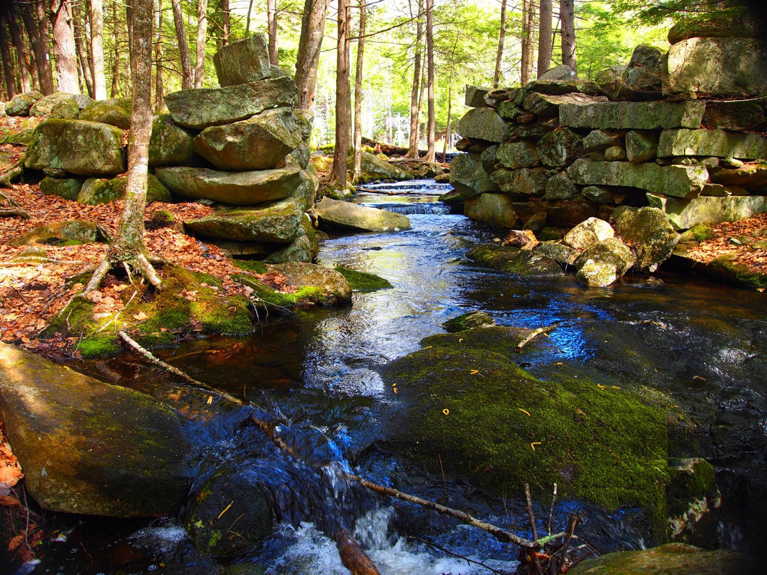 Top or Best Storyboard Agencies and Companies in Bedford, New Hampshire