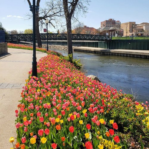 Top or Best Cartoons and Comics Agencies and Companies in Elkhart, Indiana