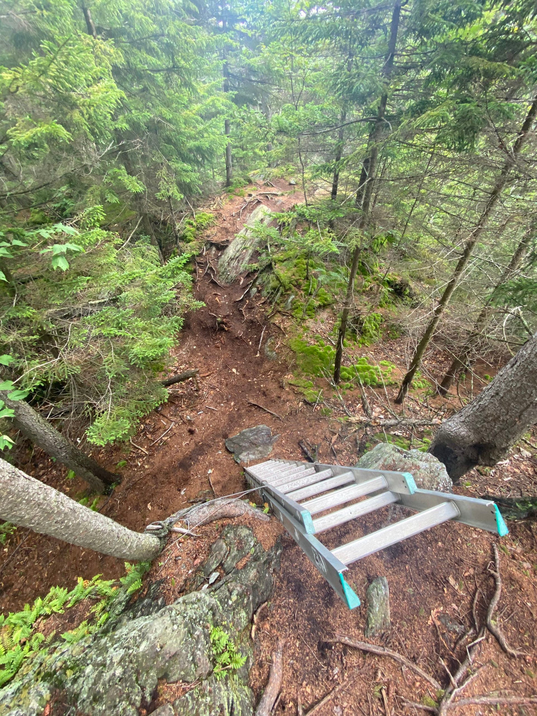 Top or Best Twitch Management Agencies and Companies in Hartford, Vermont