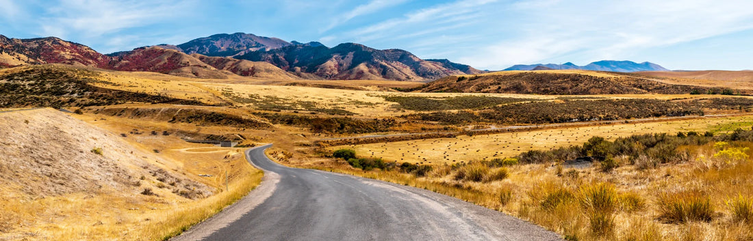 Top or Best Menu Design Agencies and Companies in Chubbuck, Idaho