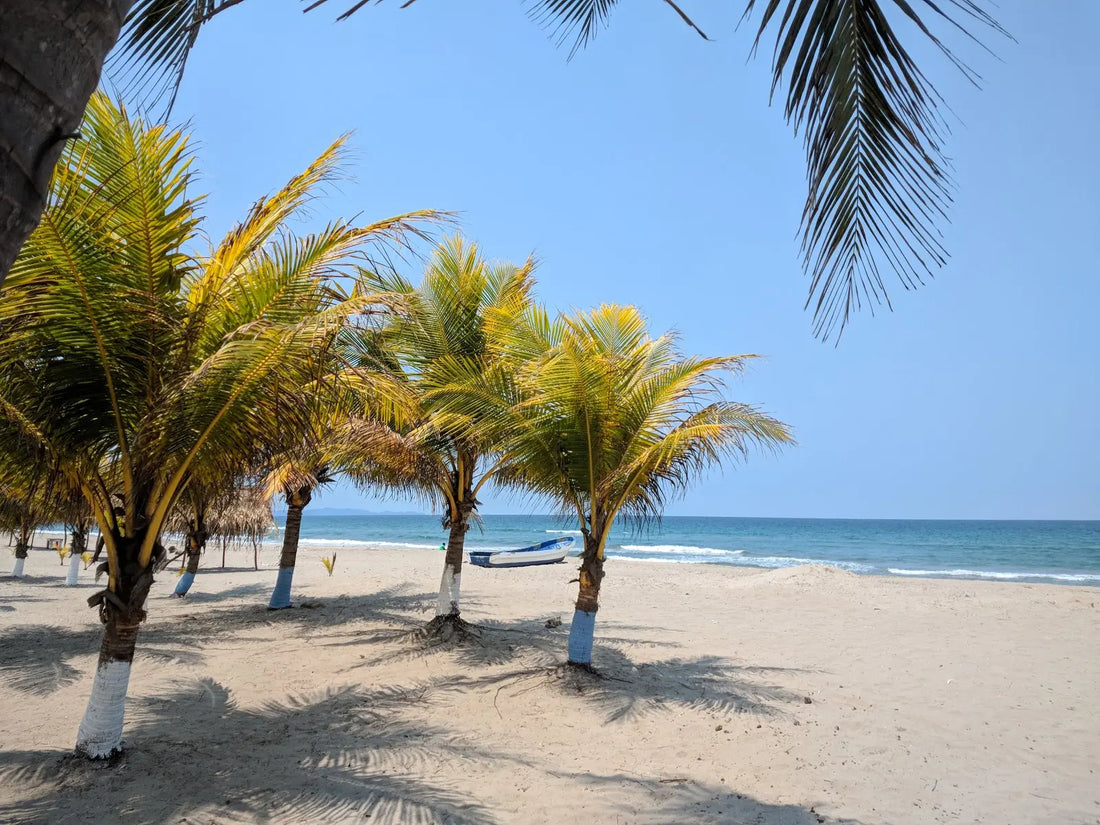 Top or Best Athlete Brand Partnership Agencies and Companies in Honduras