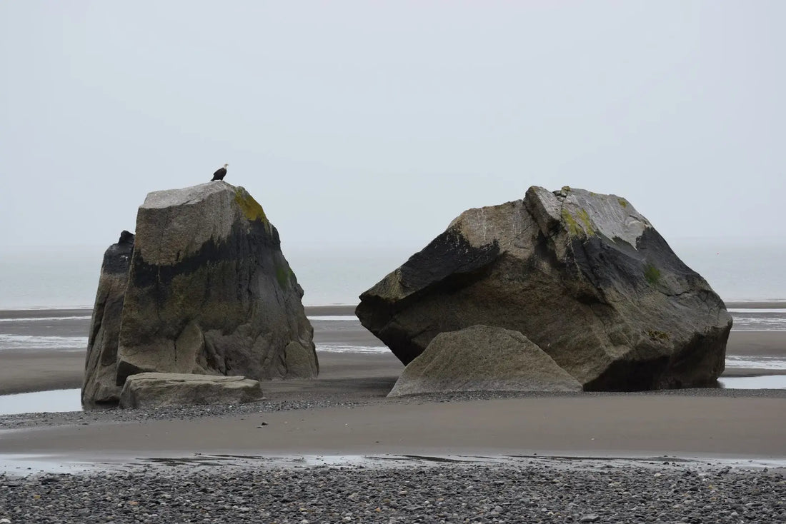 Top or Best Brochure Design Agencies and Companies in Kalifornsky, Alaska