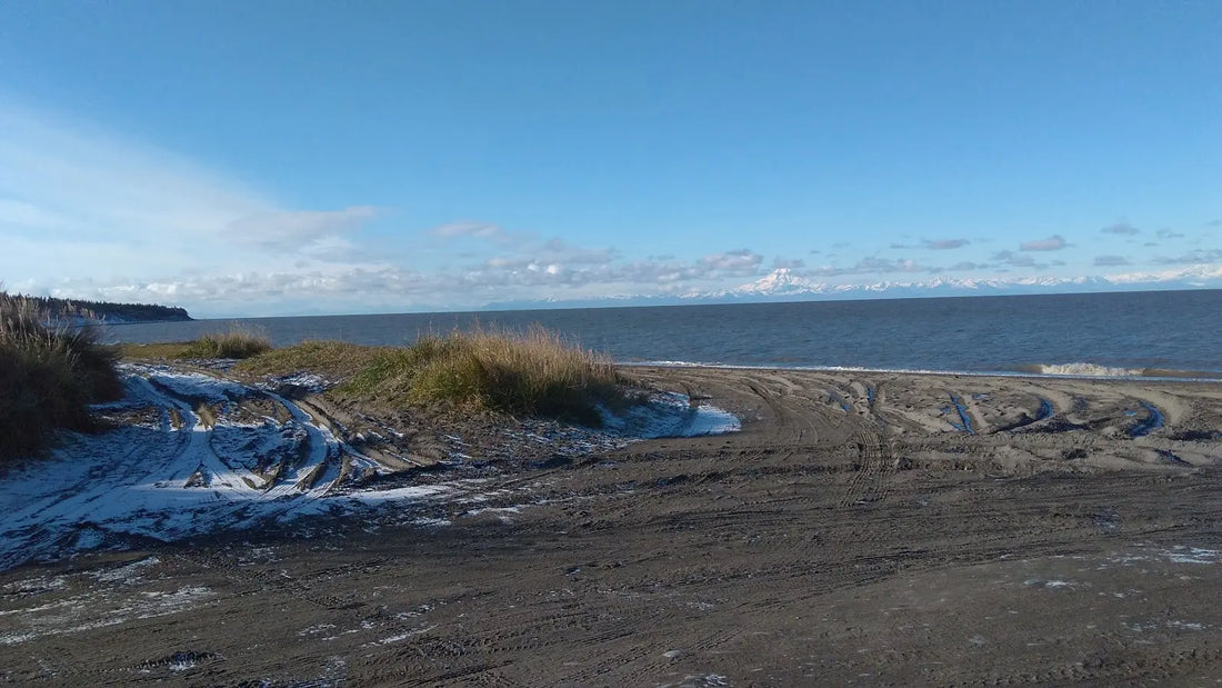 Top or Best Banner Ads Agencies and Companies in Kalifornsky, Alaska