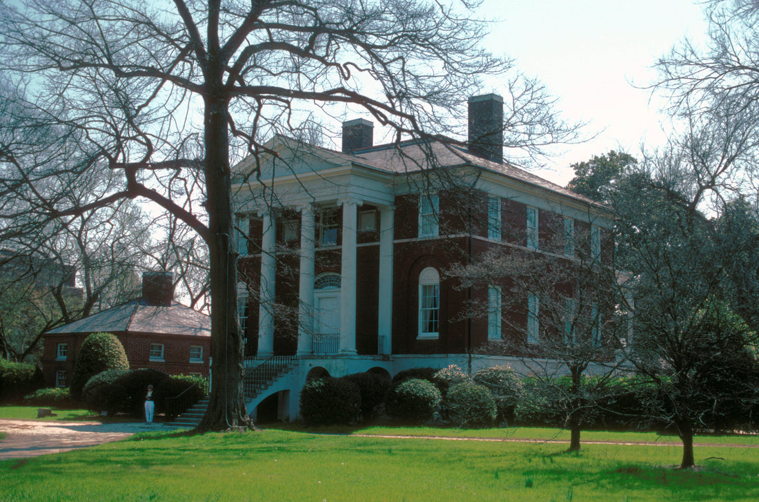 Top or Best NFT Art Agencies and Companies in Columbia, South Carolina