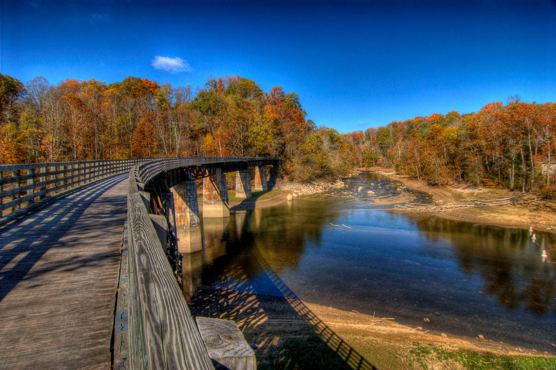 Top or Best Talent Management Agencies and Companies in Virginia