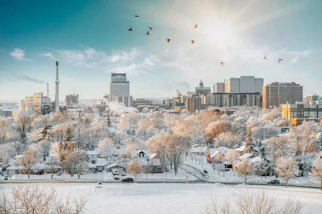 Top or Best Banner Ads Agencies and Companies in Rochester, Minnesota