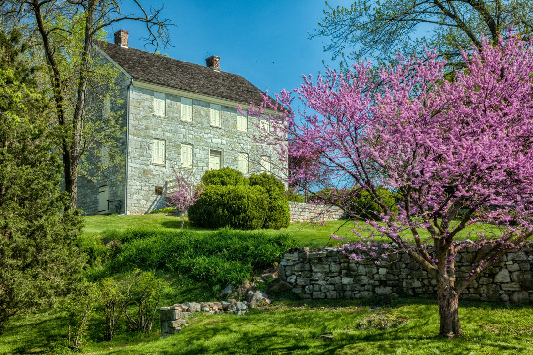 Top or Best Presentation Design Agencies and Companies in Martinsburg, West Virginia