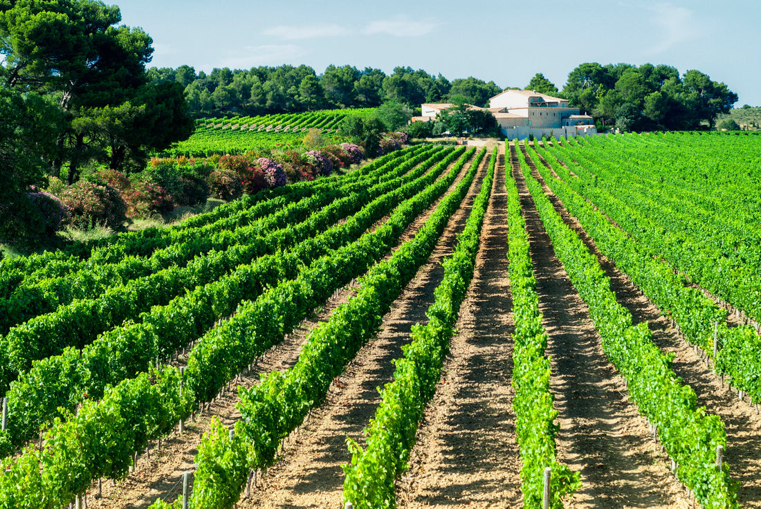 Top or Best Business Card Design Agencies and Companies in Montpellier, France