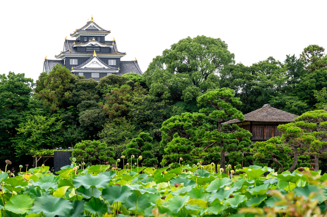 Top or Best Athlete Brand Partnership Agencies in Okayama, Japan